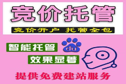 SEM竞价员实战技巧：案例分析提升竞争力
